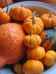 'Jack-be Little' squash; perfect for roasting in the juices around a chicken or a joint.